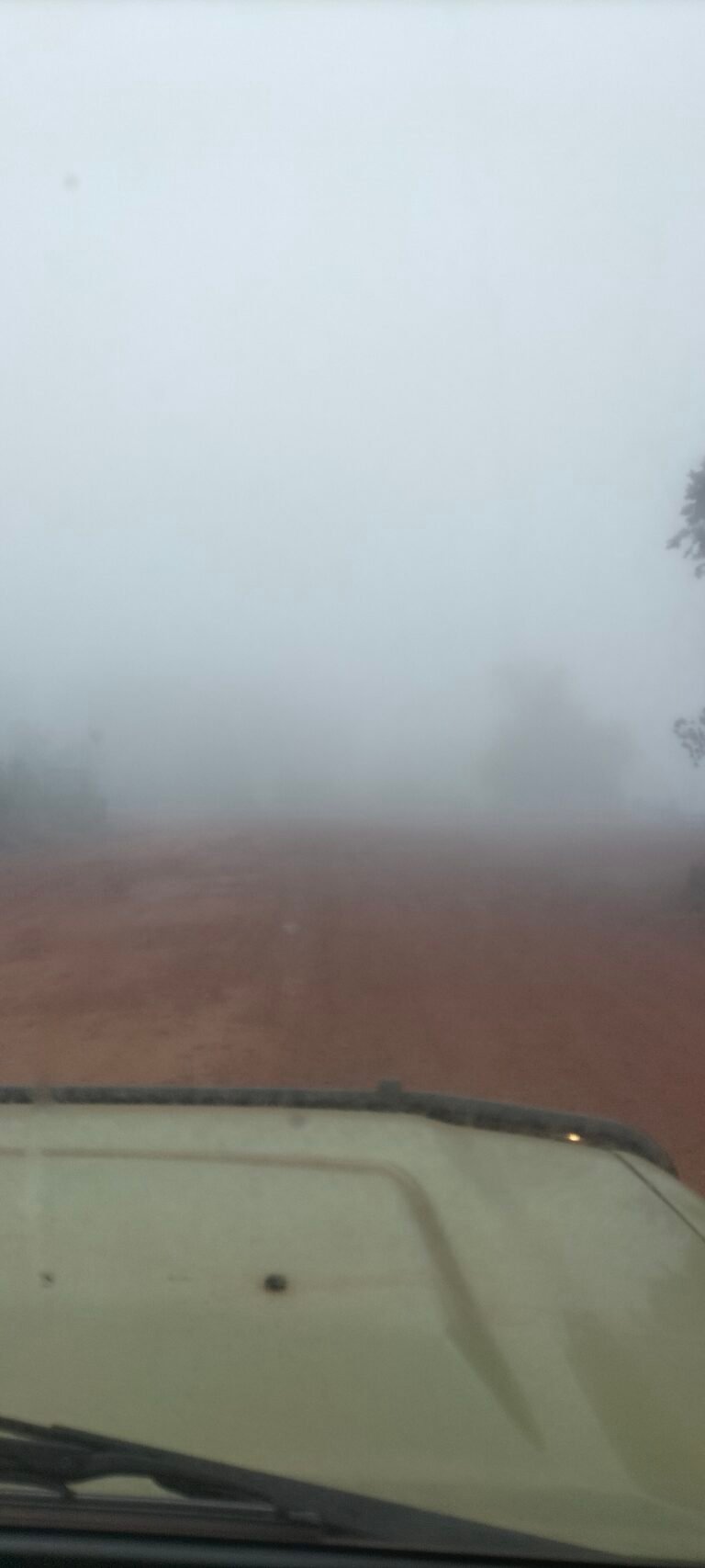 Foggy