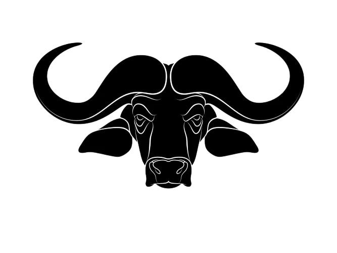 Buffalo