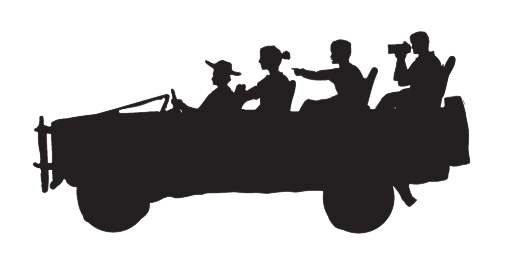 Open Jeep