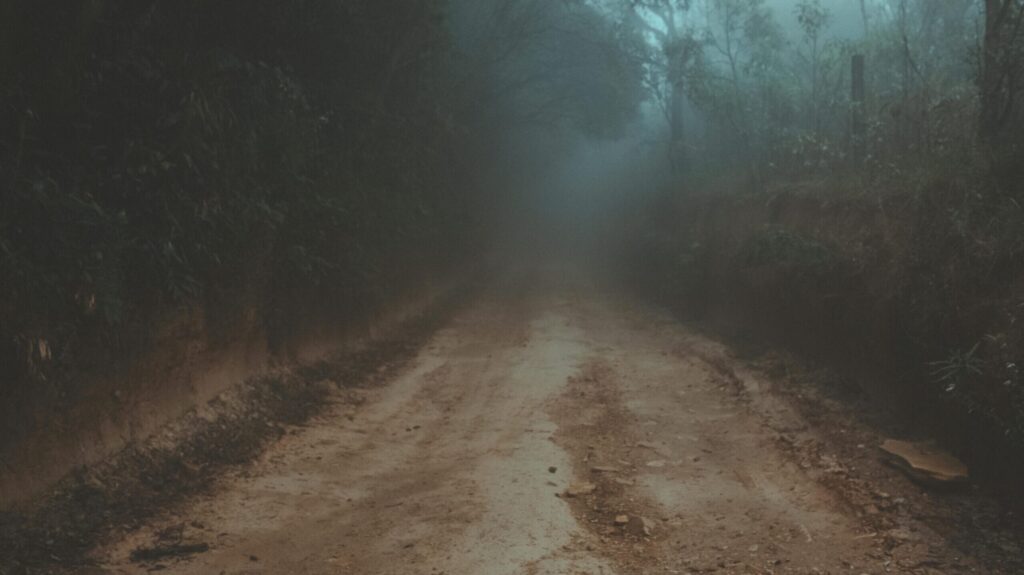 A mysterious foggy road winding through a dense forest, creating an eerie atmosphere.