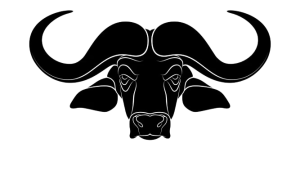 Buffalo