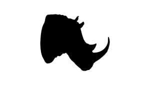 Rhino